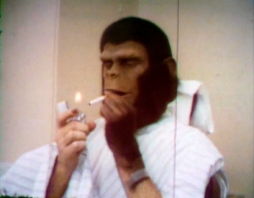 Remember kids, don't try this at home (Roddy McDowall, 1973)