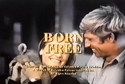 'Born Free' TV title, 1974