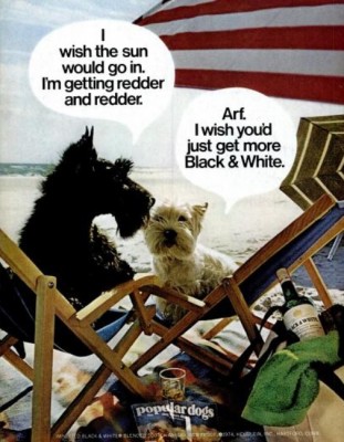 'New York' magazine, August, 1974