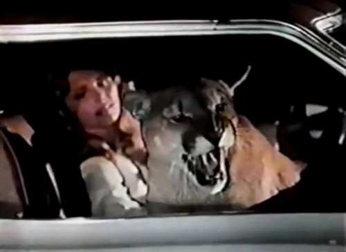 At the sign of the cat, baby! (Mercury Cougar commercial, 1972)