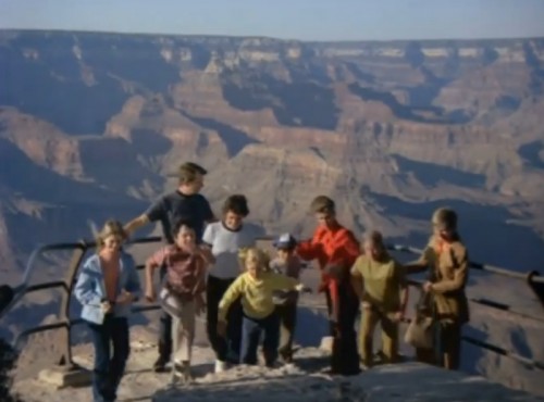 7th Wonder, 8 Bradys and 1 Alice. ('The Brady Bunch,' 1971)