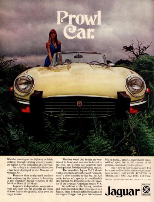 Jaguar E-Type 'Prowl Car.' ('New York' magazine, June 03, 1974)
