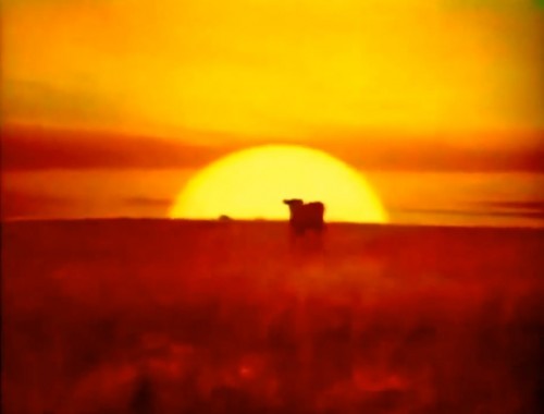 Nothing says "American investment security" like a bull and a sunrise. (Merrill Lynch commercial, 1975)