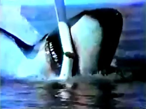 Don't say 'beer,' say 'shark'! (Colt 45 commercial, 1976)