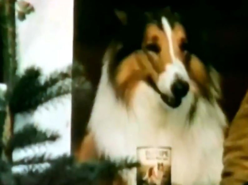 Dog Food Lessons from a Lassie Film